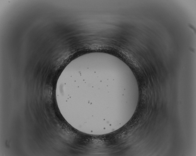 X0000092300592200710041449