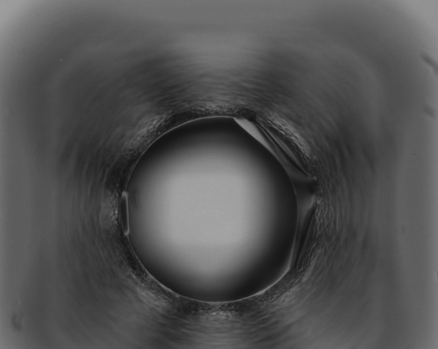 X0000092300593200710041449