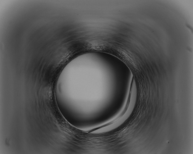 X0000092300595200710041449