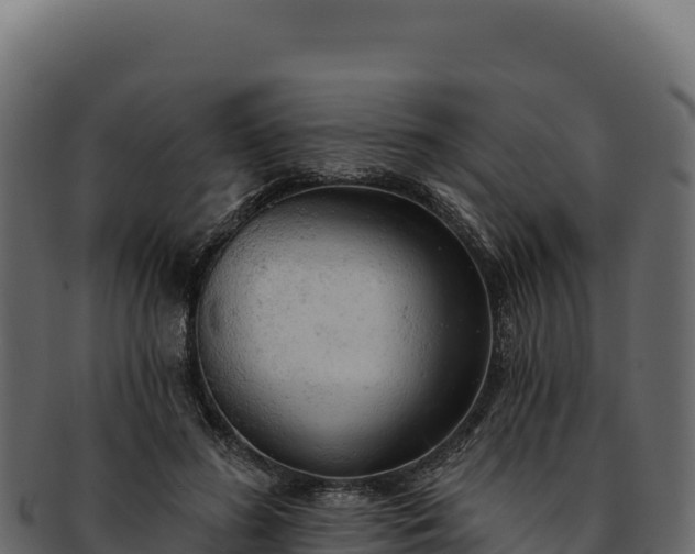 X0000092300596200710041449