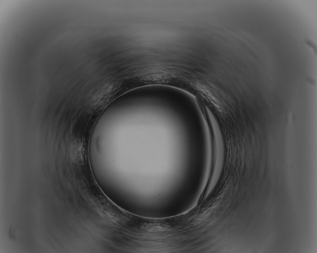 X0000092300597200710041449