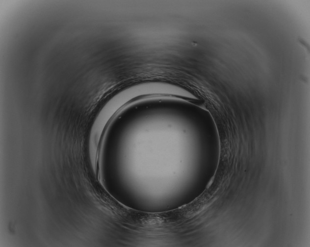 X0000092300600200710041449