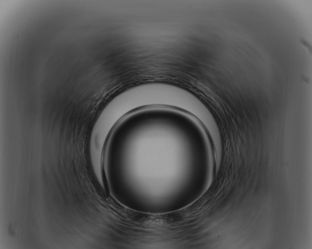 X0000092300604200710041449