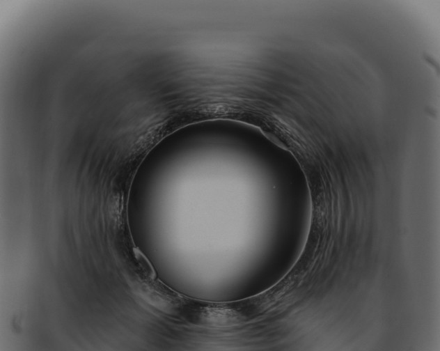 X0000092300605200710041449