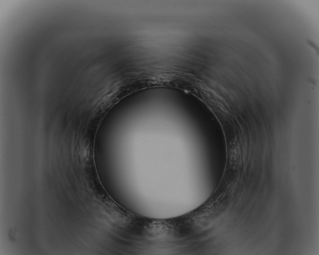 X0000092300608200710041449