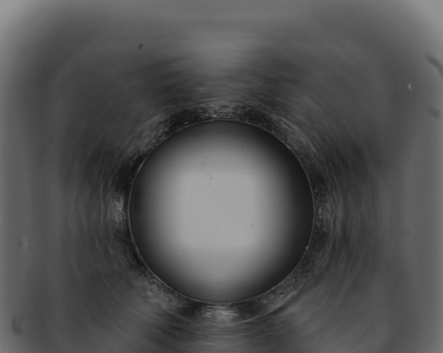 X0000092300610200710041448