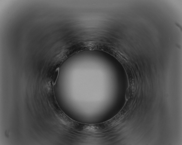 X0000092300611200710041448