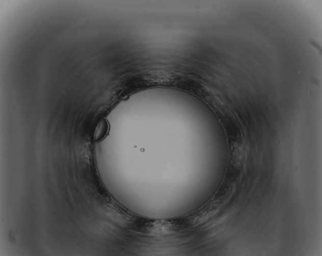 X0000092300612200710041448