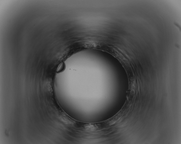 X0000092300616200710041448