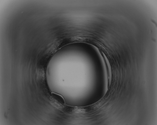 X0000092300617200710041448