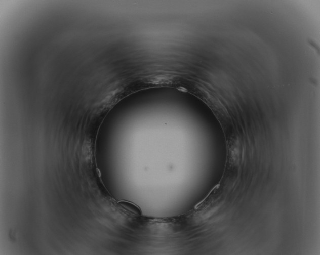 X0000092300620200710041448