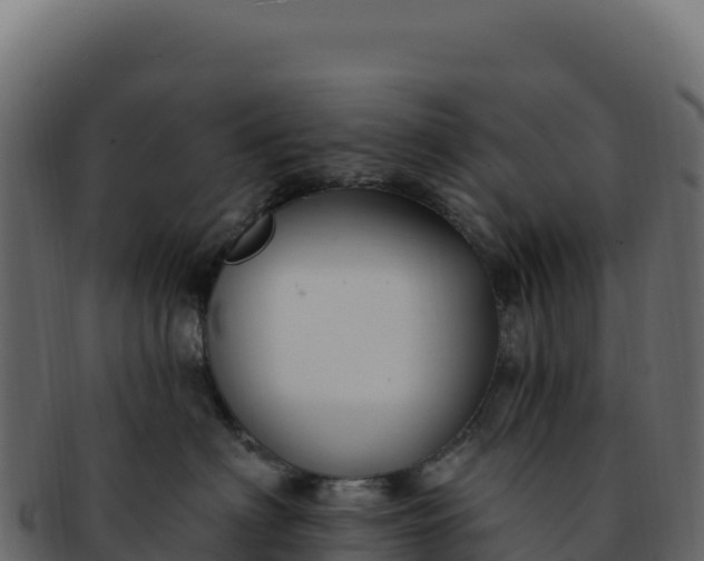 X0000092300622200710041448