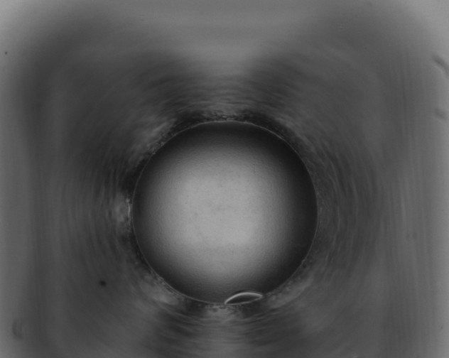 X0000092300624200710041448