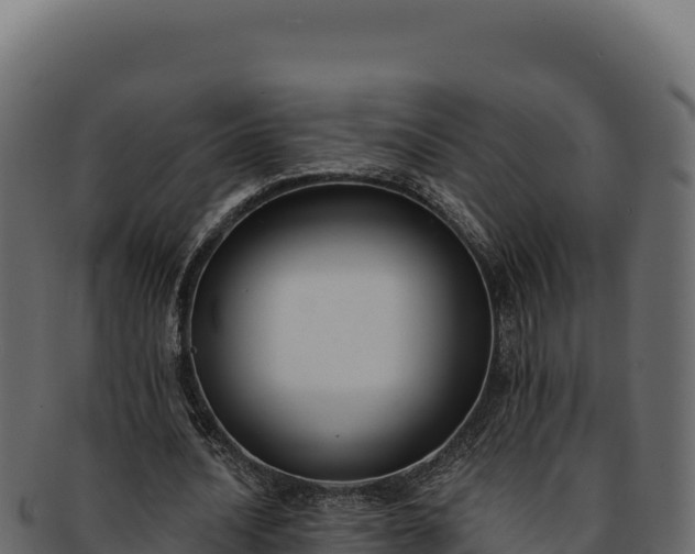 X0000092300628200710041448