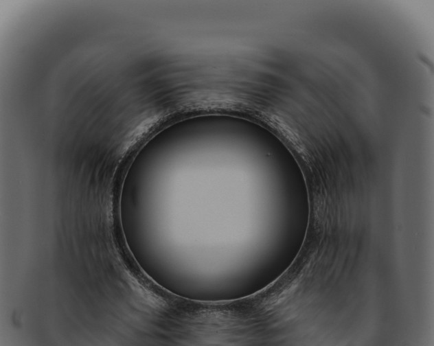 X0000092300629200710041448