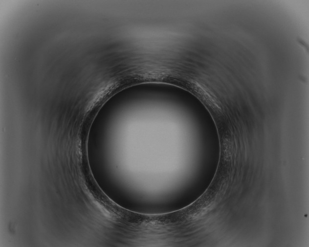 X0000092300634200710041448