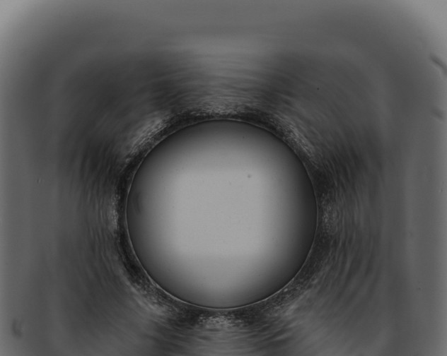 X0000092300635200710041448