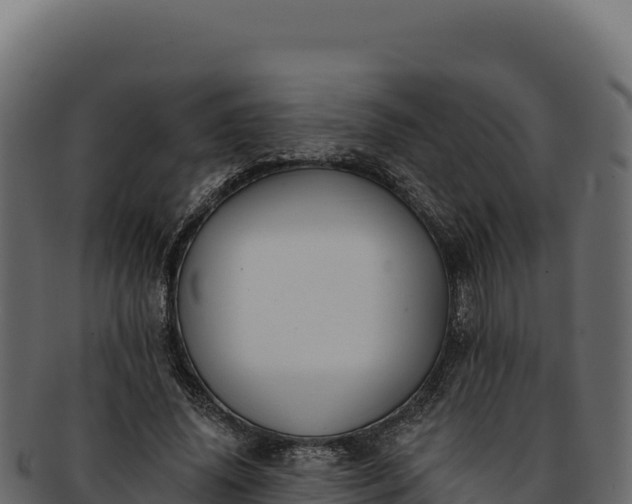 X0000092300636200710041448