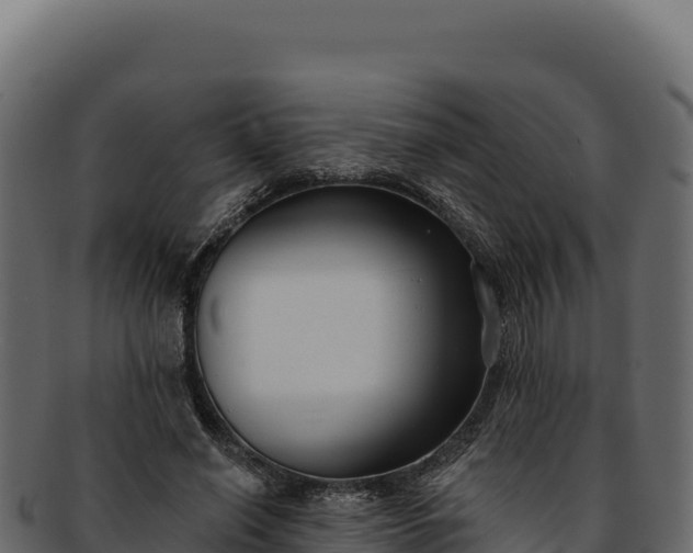 X0000092300638200710041448