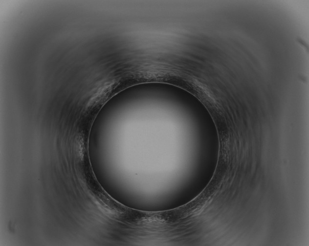 X0000092300644200710041448