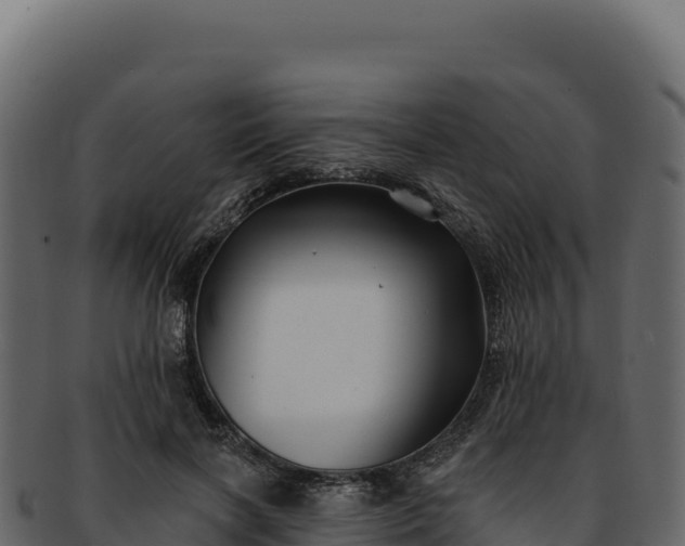 X0000092300646200710041448