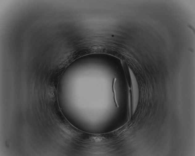 X0000092300654200710041448