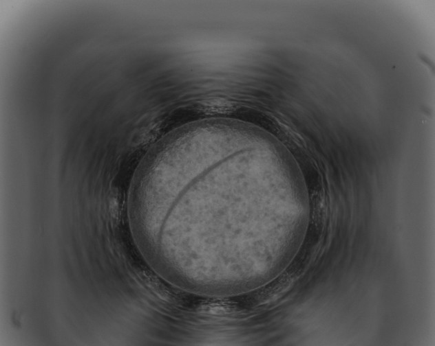 X0000092300655200710041448