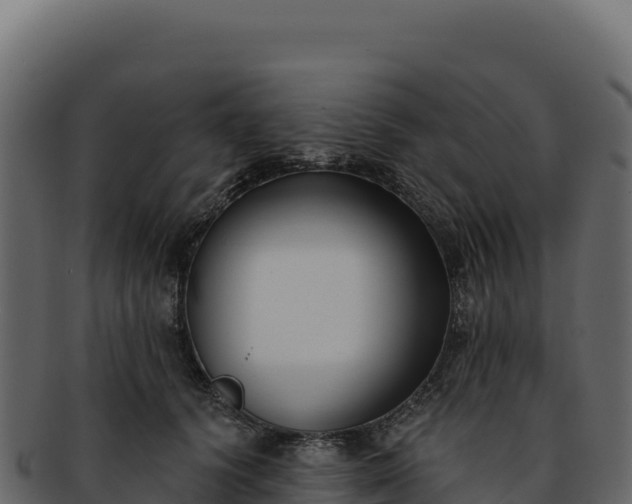 X0000092300656200710041448