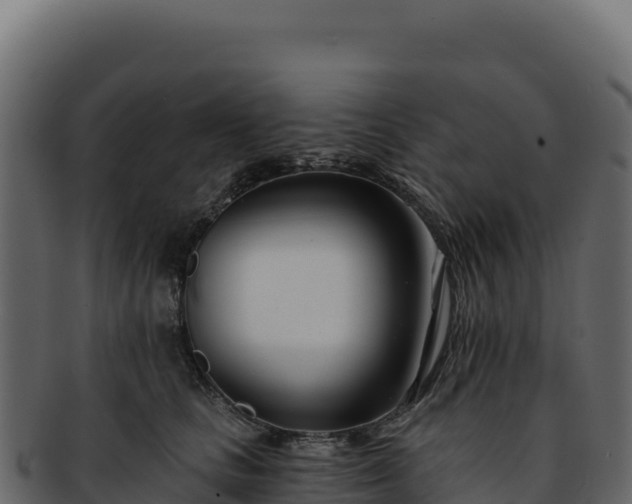 X0000092300661200710041448