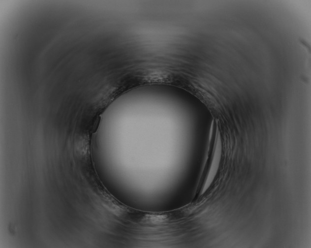 X0000092300665200710041448