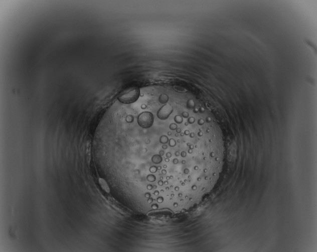 X0000092300666200710041448