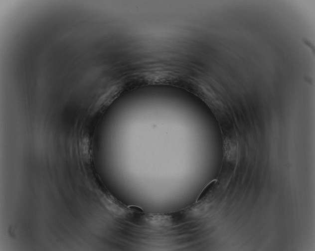 X0000092300670200710041448