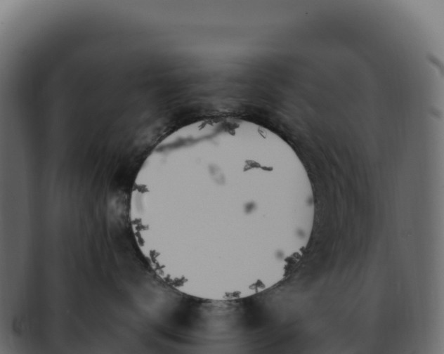 X0000092300672200710041448