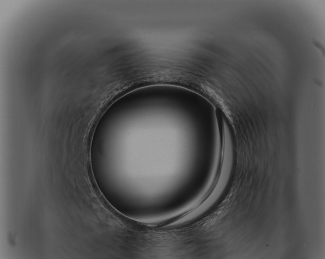 X0000092300673200710041448