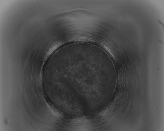 X0000092300674200710041448