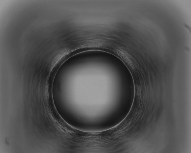 X0000092300676200710041448