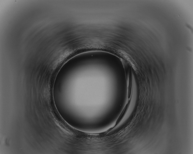 X0000092300677200710041448