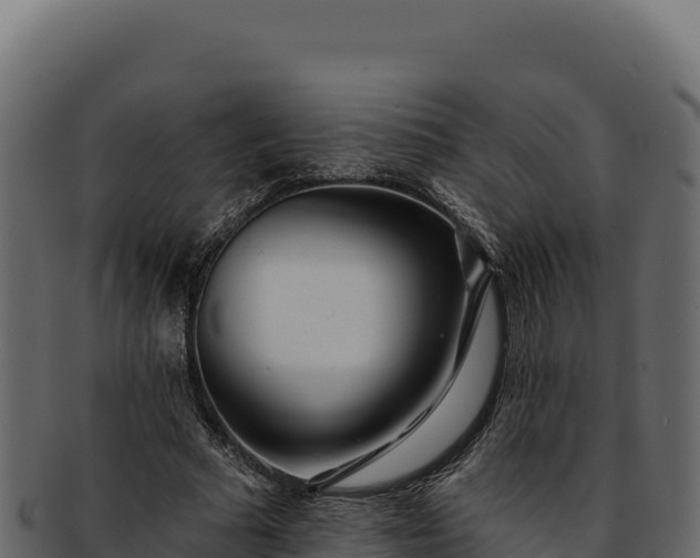 X0000092300681200710041448