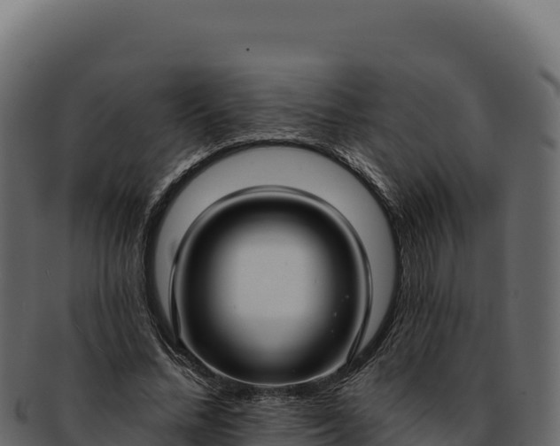 X0000092300684200710041448