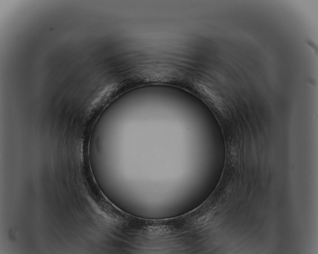 X0000092300686200710041448