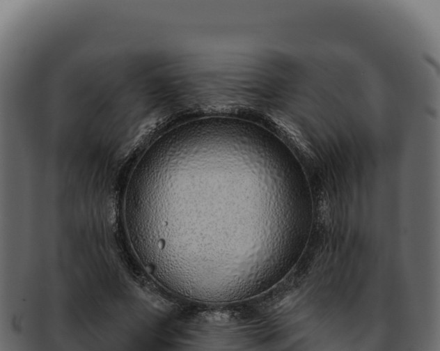 X0000092300687200710041448