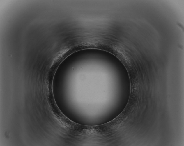 X0000092300688200710041448