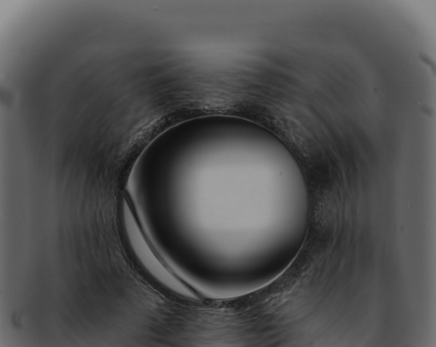 X0000092300689200710041448