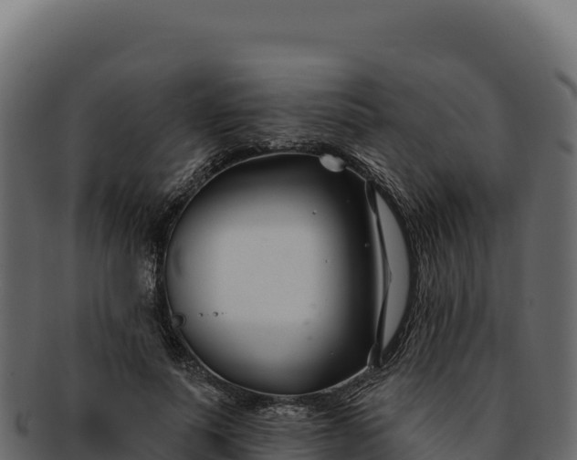 X0000092300691200710041448