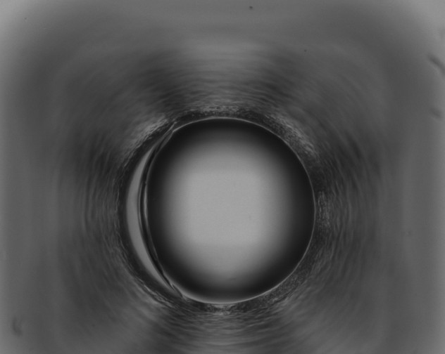 X0000092300692200710041448