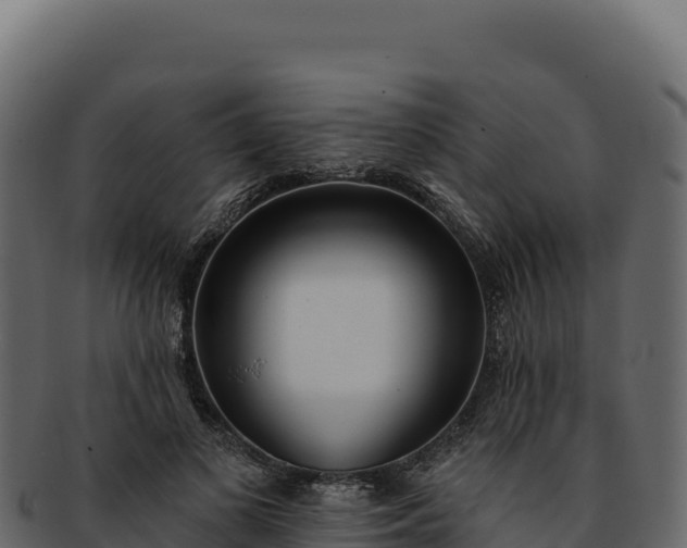 X0000092300693200710041448