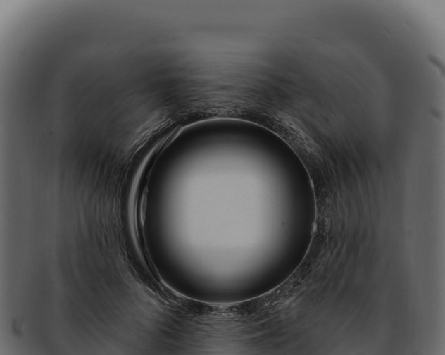 X0000092300696200710041447