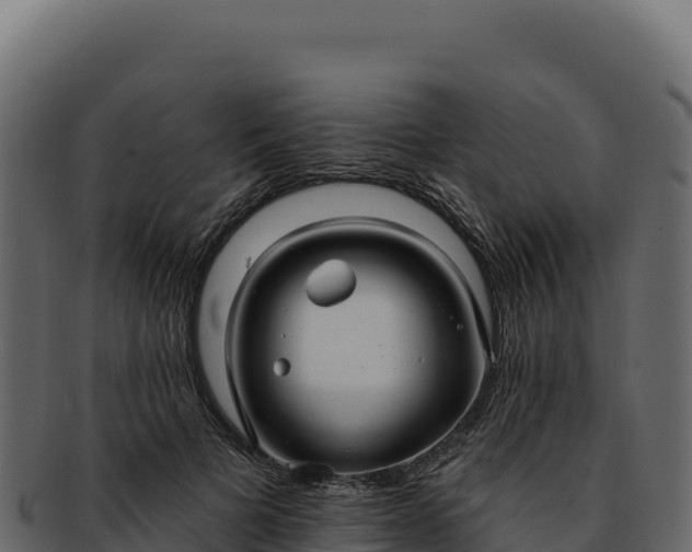 X0000092300697200710041447