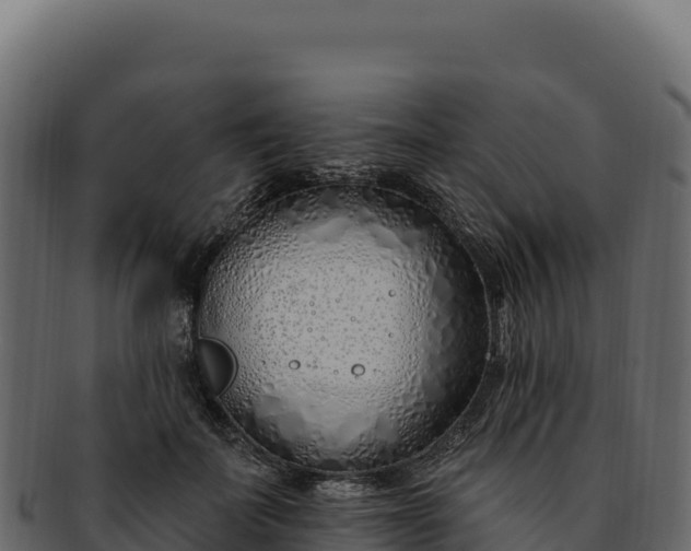 X0000092300699200710041447