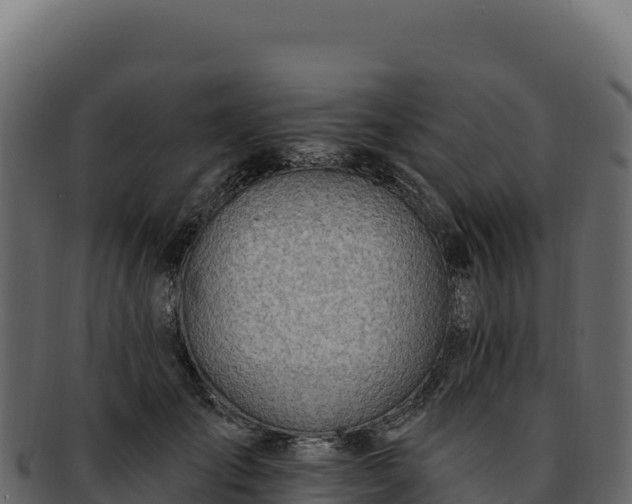 X0000092300701200710041447